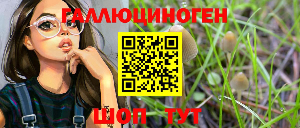 Псилоцибиновые грибы Psilocybine cubensis Энгельс