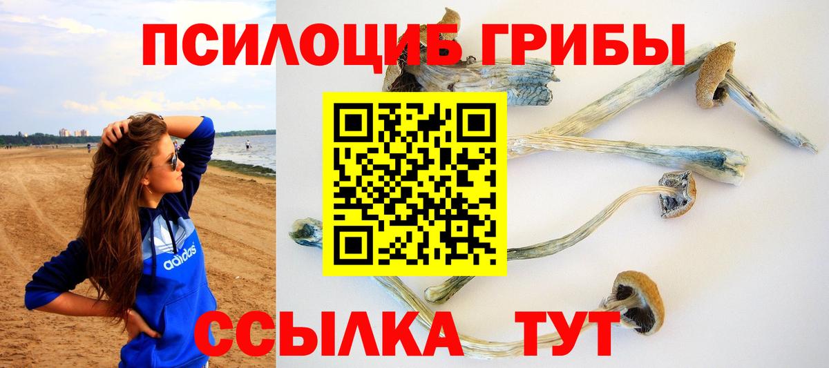 Энгельс  Галлюциногенные грибы Psilocybine cubensis  Вход с VPN 